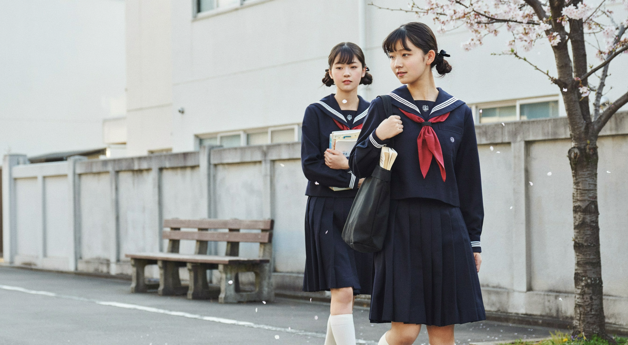 Seifuku: 5 Key Points